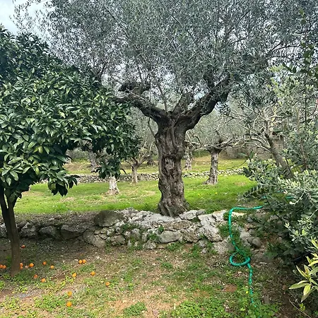 Chic In Nature * Kalamata