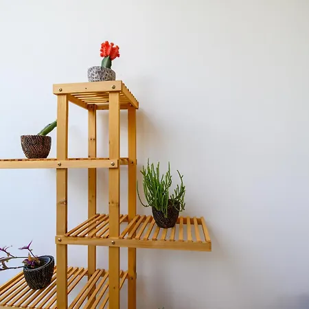 Chic In Nature Tatil Evi