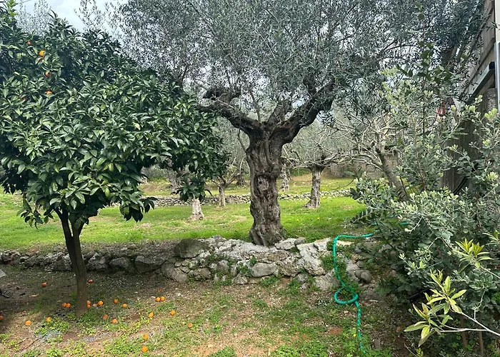 Chic In Nature * Kalamata